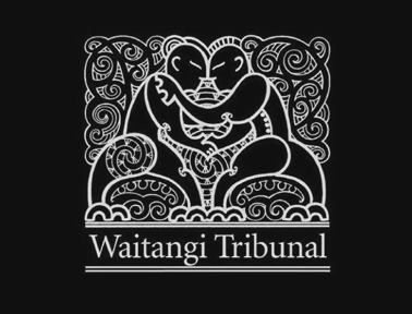 Waitangi Tribunal website
